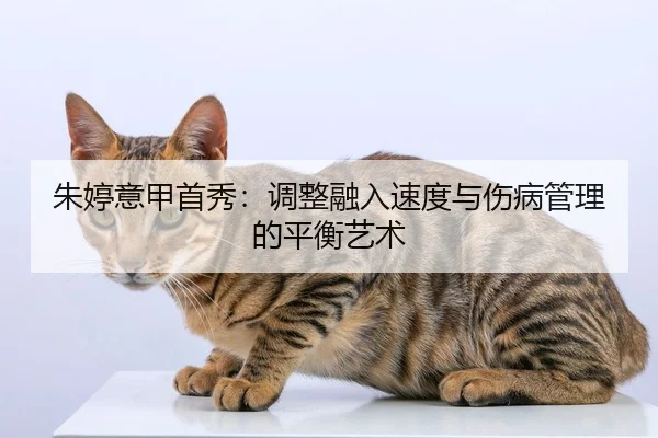 zhu-ting-yi-jia-shou-xiu-tiao-zheng-rong-ru-su-du-yu-shang-bing-guan-li-de-ping-heng-yi-shu-2-720.jpg