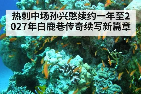 热刺中场孙兴慜续约一年至2027年白鹿巷传奇续写新篇章